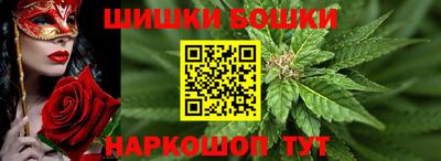 стафф Пенза