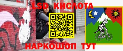 гидра Партизанск