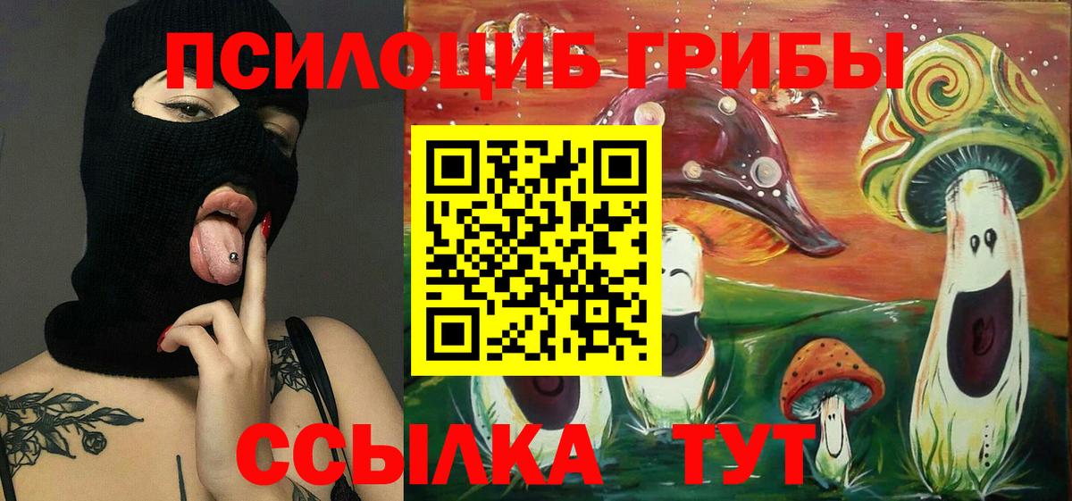 Галлюциногенные грибы мицелий Сосновоборск