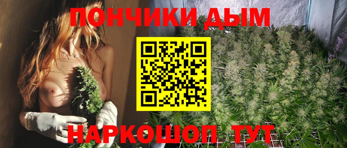 Бошки Шишки семена  Бошки Шишки тримм  Вход с VPN  Шишки марихуана THC 21%  Сосновоборск  Канабис SATIVA & INDICA 